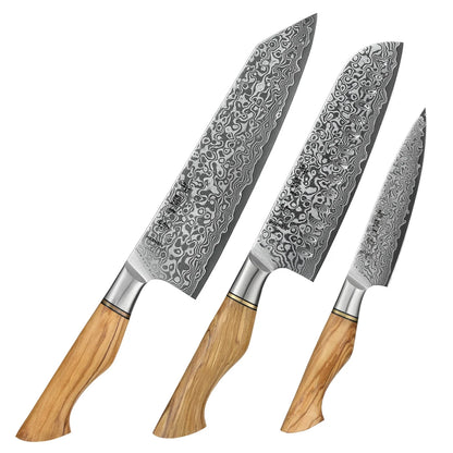 Damascus Steel Kitchen Knife Set