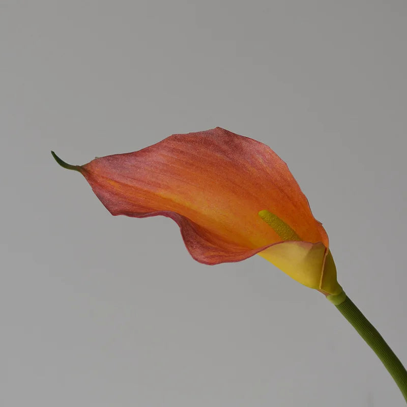 Set of 5 Artificial Calla Lily Flowers