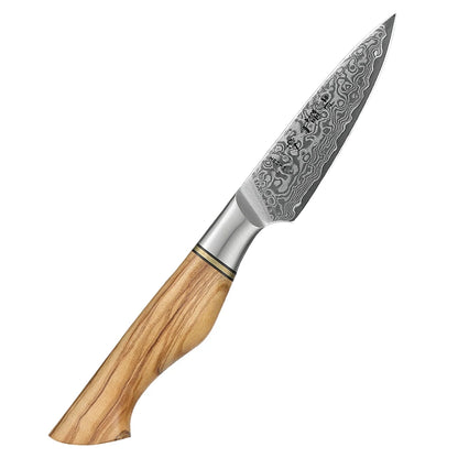 Damascus Steel Kitchen Knife Set