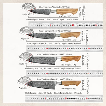 Damascus Steel Kitchen Knife Set