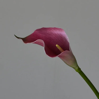 Set of 10 Artificial Calla Lily Flowers