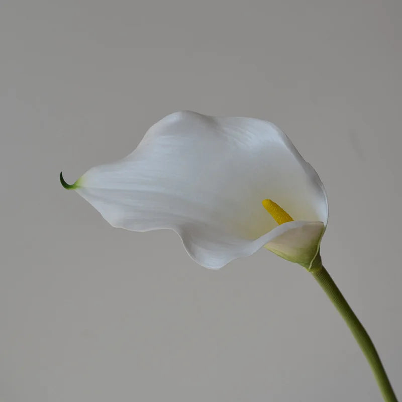 Set of 5 Artificial Calla Lily Flowers