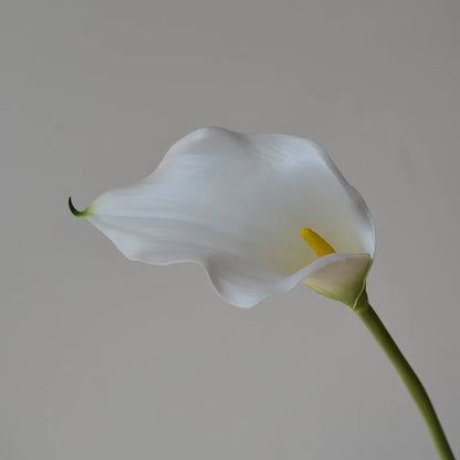 Set of 5 Artificial Calla Lily Flowers
