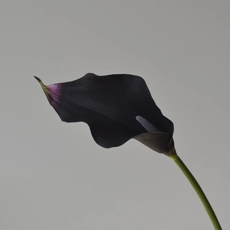 Set of 5 Artificial Calla Lily Flowers