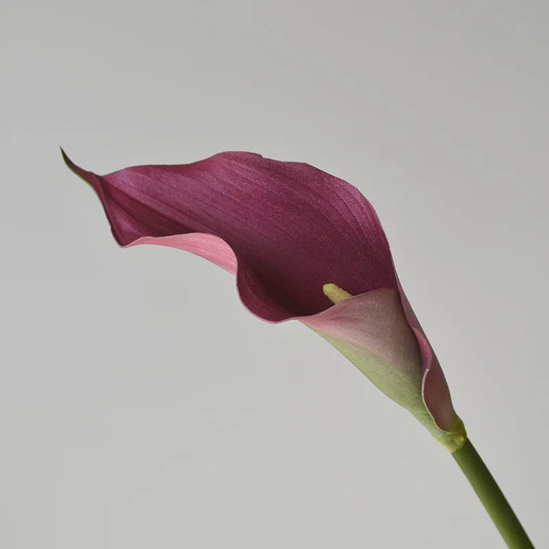 Set of 5 Artificial Calla Lily Flowers