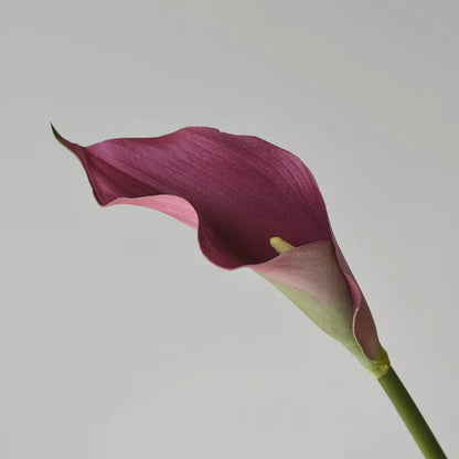 Set of 5 Artificial Calla Lily Flowers