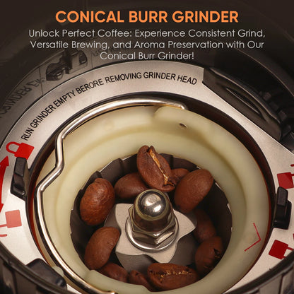 48-Setting Electric Conical Burr Coffee Grinder