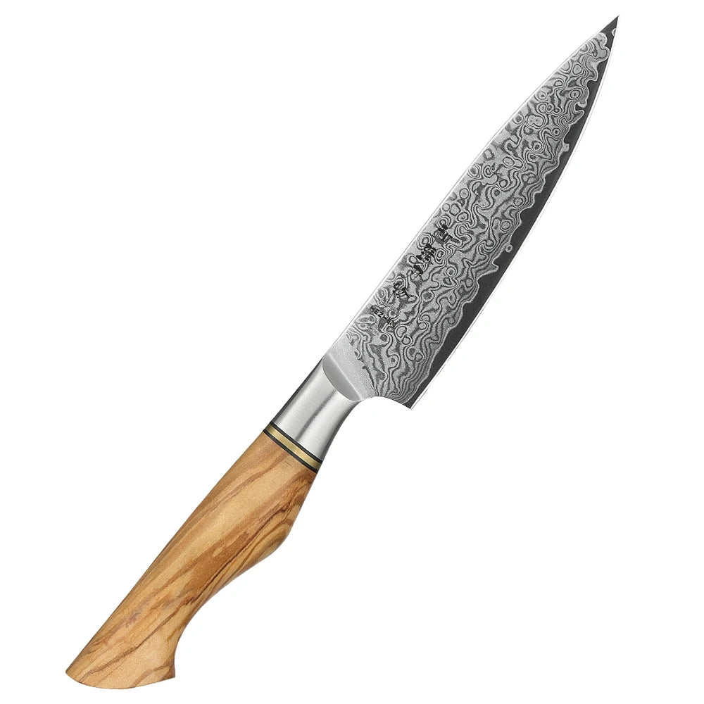 Damascus Steel Kitchen Knife Set