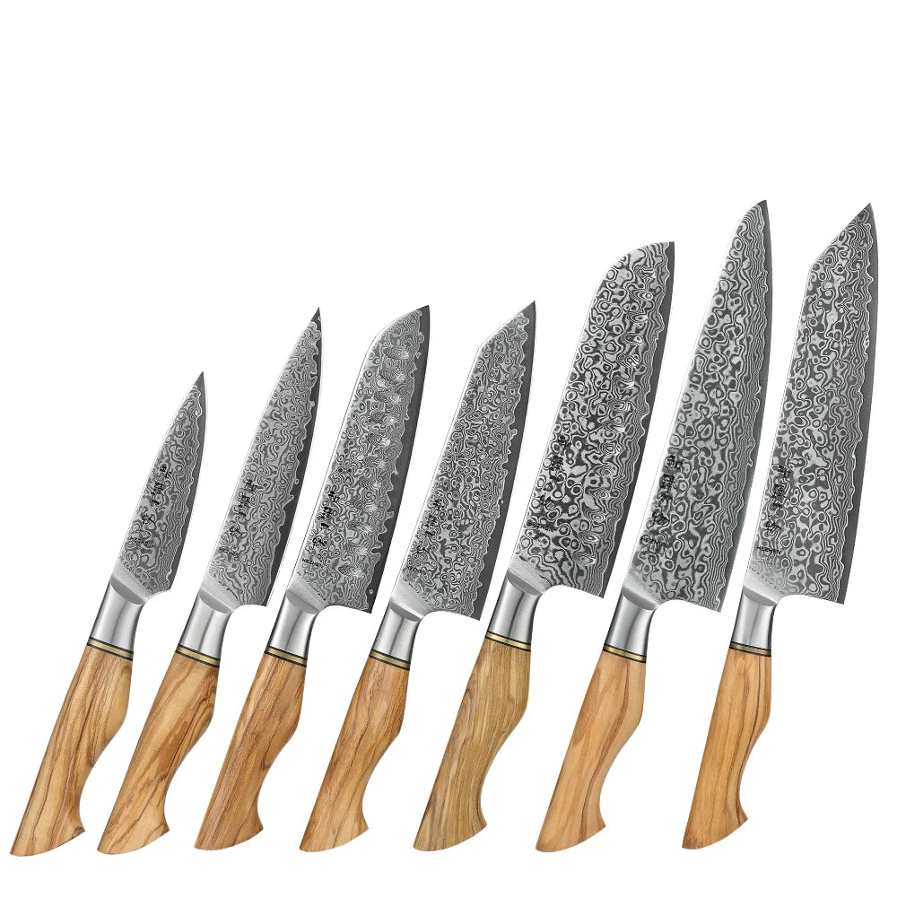 Damascus Steel Kitchen Knife Set