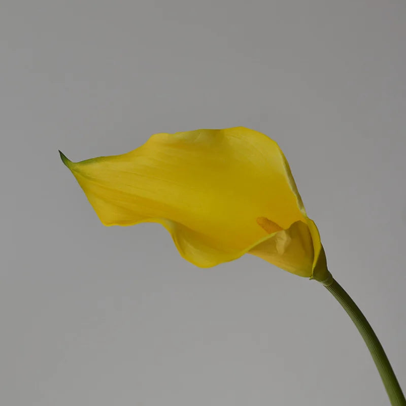 Set of 5 Artificial Calla Lily Flowers
