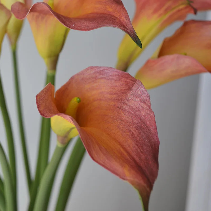 Set of 5 Artificial Calla Lily Flowers