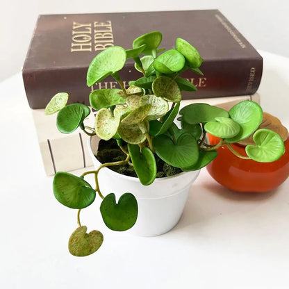 Artificial Coin Grass Wall Hanging