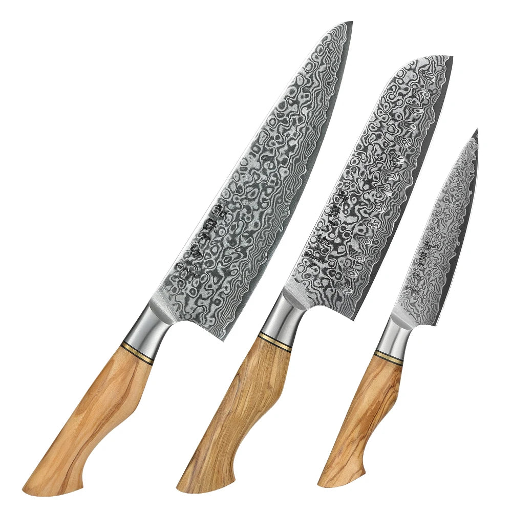 Damascus Steel Kitchen Knife Set